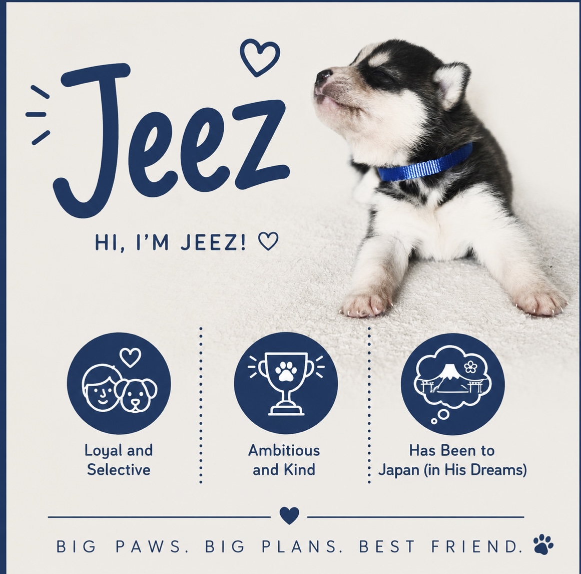 Jeez puppy profile
