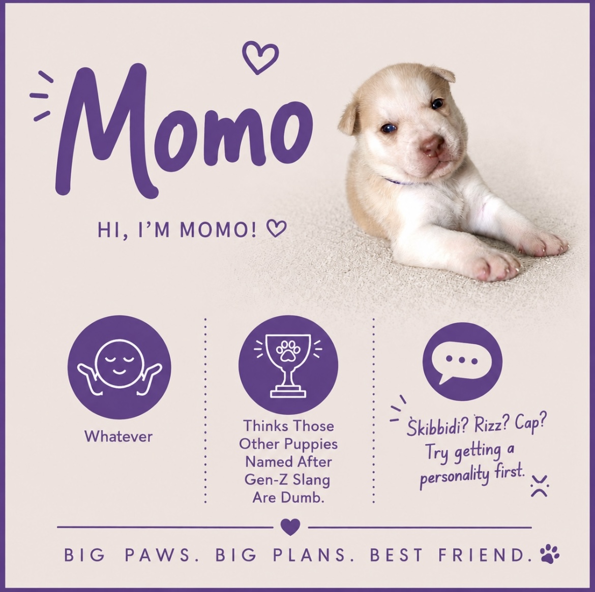 Momo puppy profile