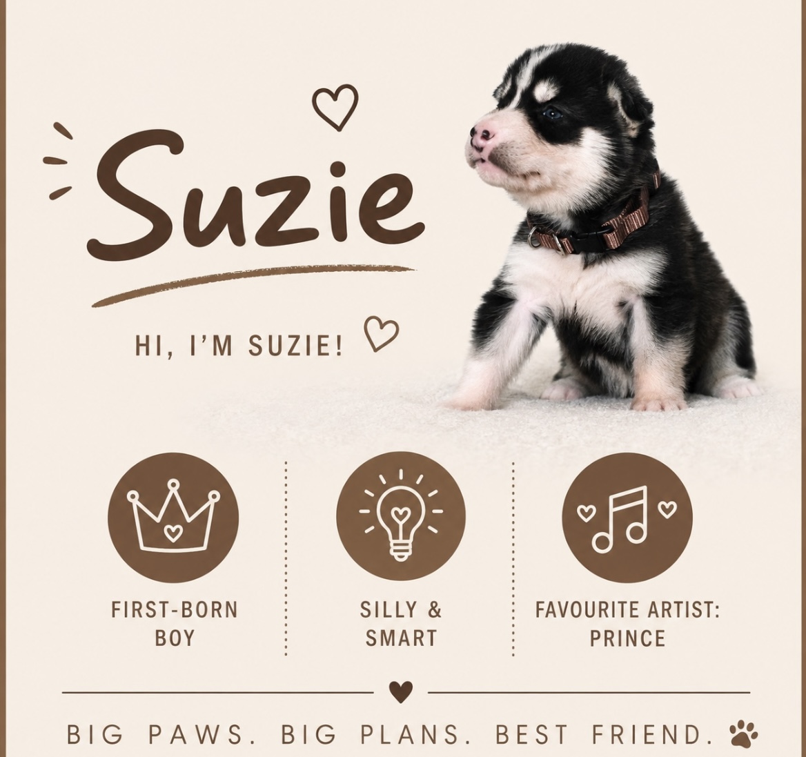 Suzie puppy profile
