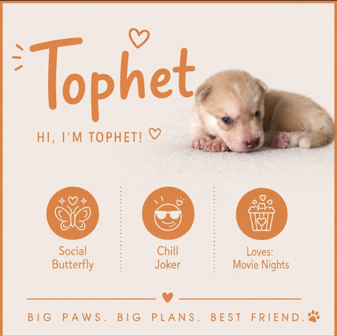 Tophet puppy profile
